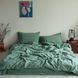 Комплект постільної білизни 200x220 LA MODNO STONEWASHED SAGE GREEN зелений 200316 фото 1